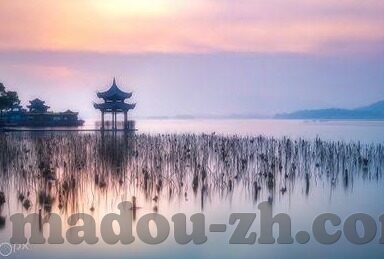 2019最日韩av网址-2019年日韩AV娱乐新视界，探索与体验的多元化