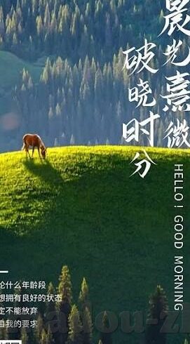 91麻豆传媒app-揭露91麻豆传媒app的真相，当色情内容侵蚀网络空间