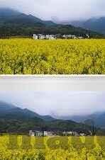 果冻传媒麻豆系列视频压缩-纯洁艺术与创意表达的界限，果冻传媒麻豆系列视频创作探索