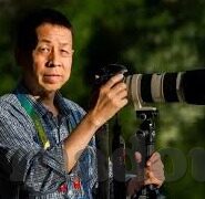 久久一区二区三区-探索网络世界的多元维度，一区、二区、三区的独特魅力