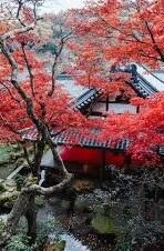 日韩国av网站-日韩文化交流的另一面，探索成人娱乐内容的边界