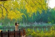 糖心app官网404-深入探讨，糖心APP官网404事件引发的思考